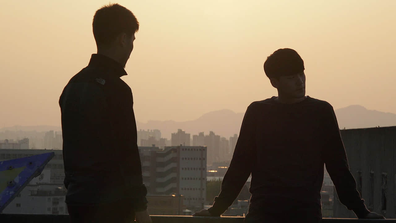 《仲夏夜役男恋》影评：为所爱的人牺牲自己、在所不惜的病态爱情-NICEOLO