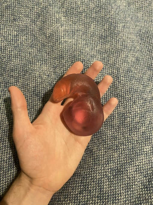 拜託!假屌千万不能这样用!开封前请详阅使用说明 -3 拜託!假屌千万不能这样用!开封前请详阅使用说明-NICEOLO