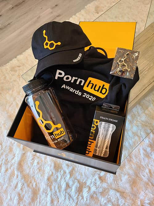 2020情色奥斯卡来了！Pornhub宣布入围名单，美东时间12/15晚上7点线上颁奖-NICEOLO