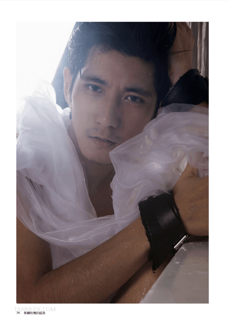 HIM No.6 – 小熊-NICEOLO