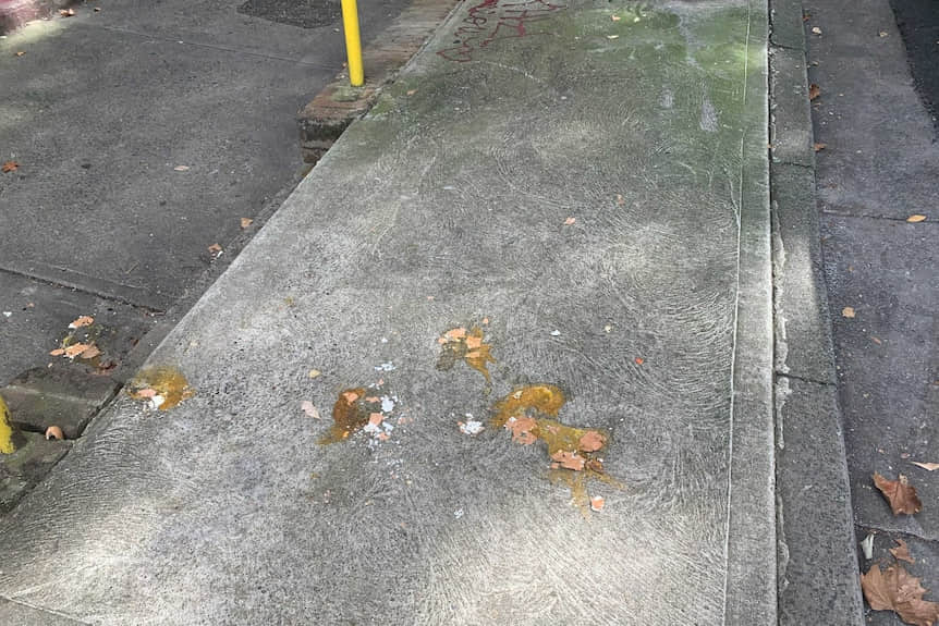 澳媒记者参加完骄傲游行竟遭蛋洗:恐同犯罪行为依然存在-NICEOLO