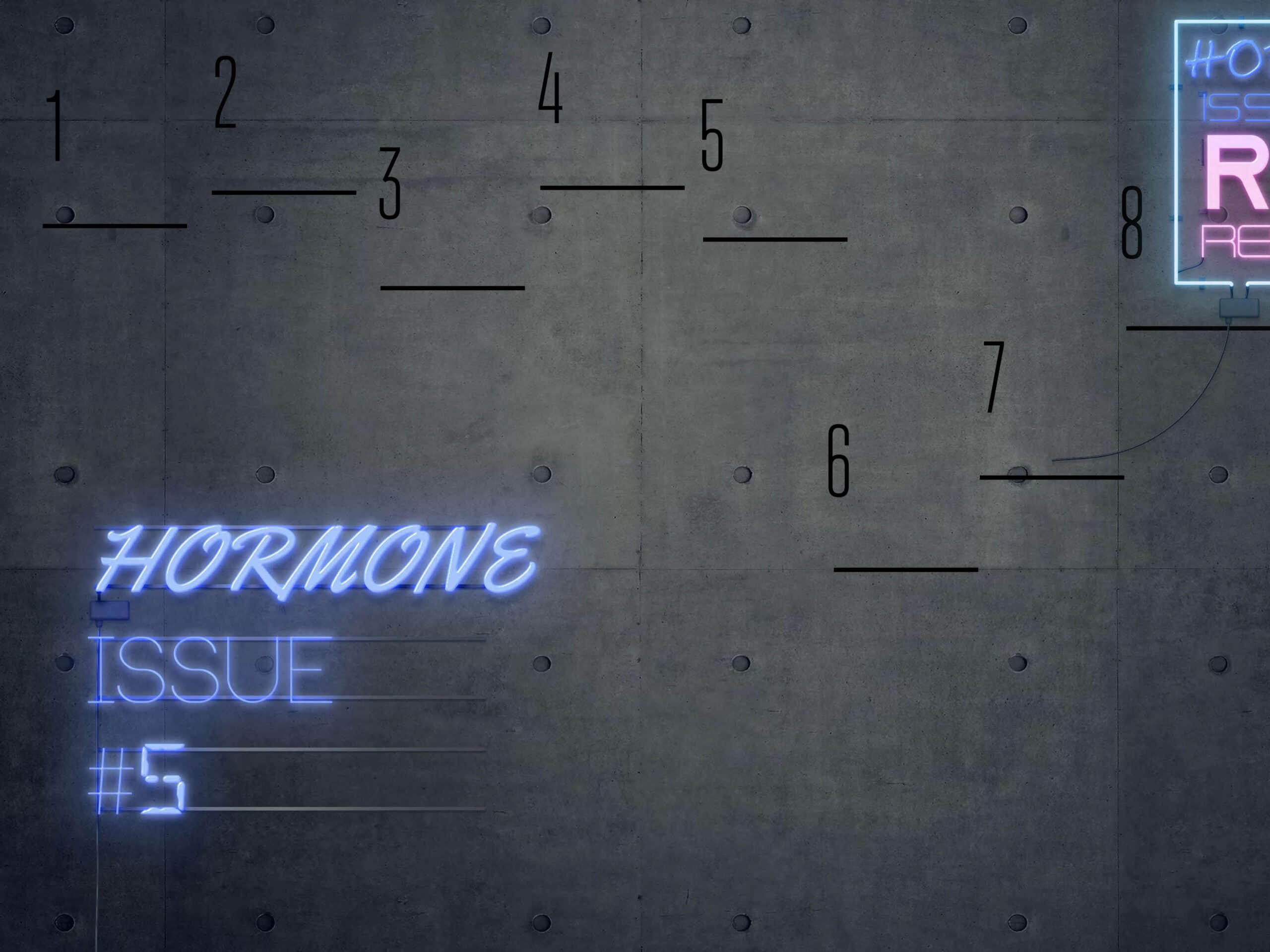 任壬 HORMONE issue NO.05 百变型男 胖虎-NICEOLO
