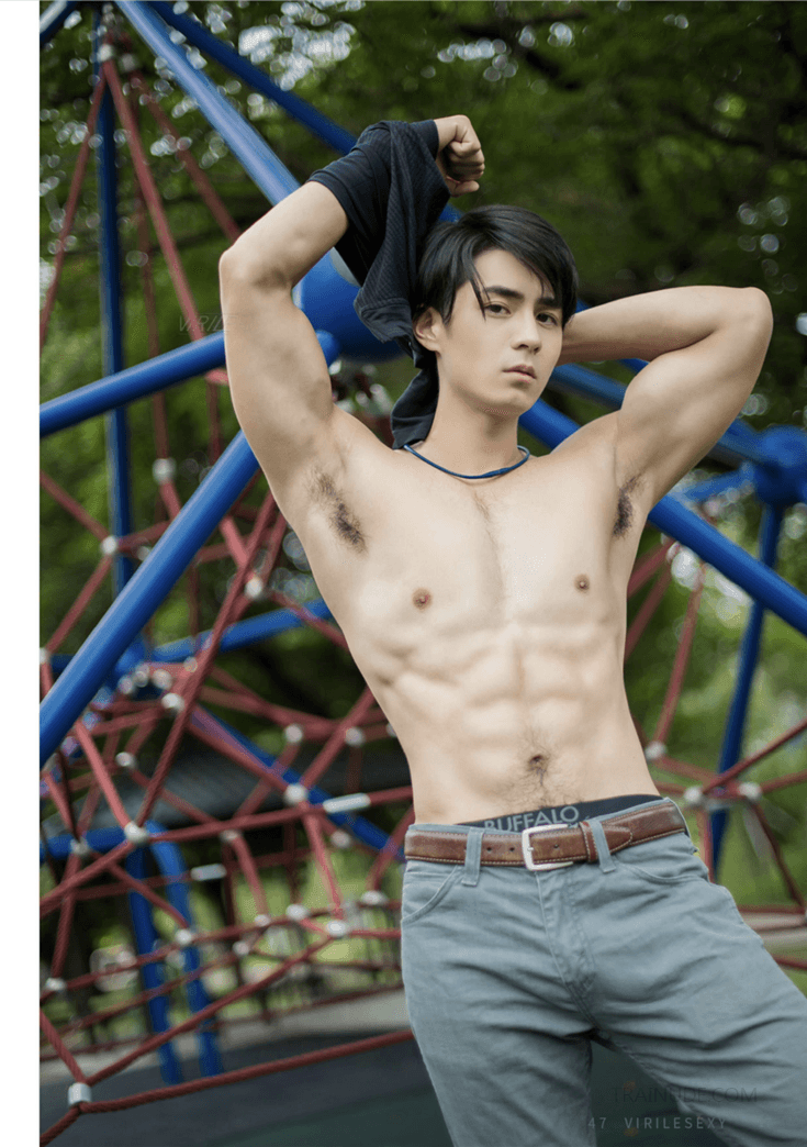 Virile no.47 (ebook + video)-NICEOLO