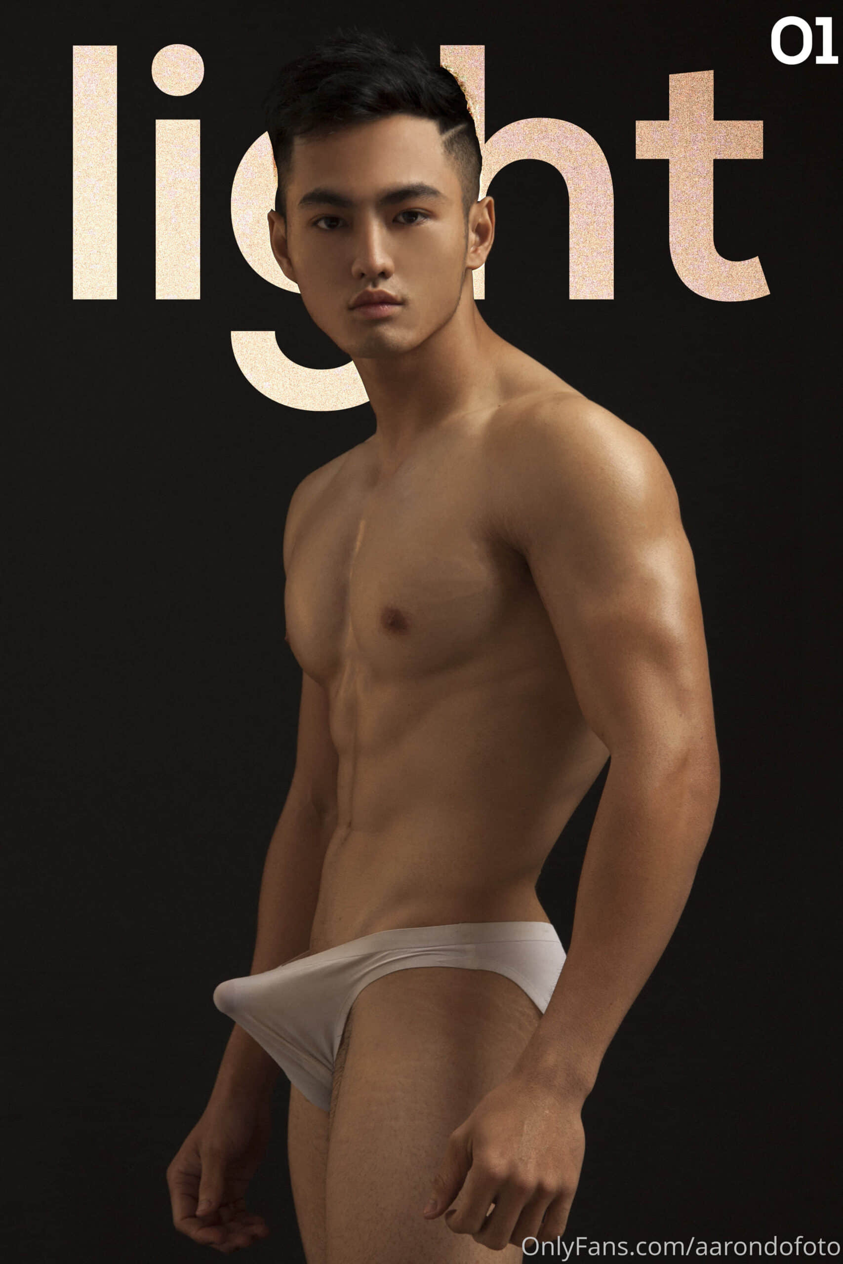 Aaron Do Collection (ebook + cum video)-NICEOLO