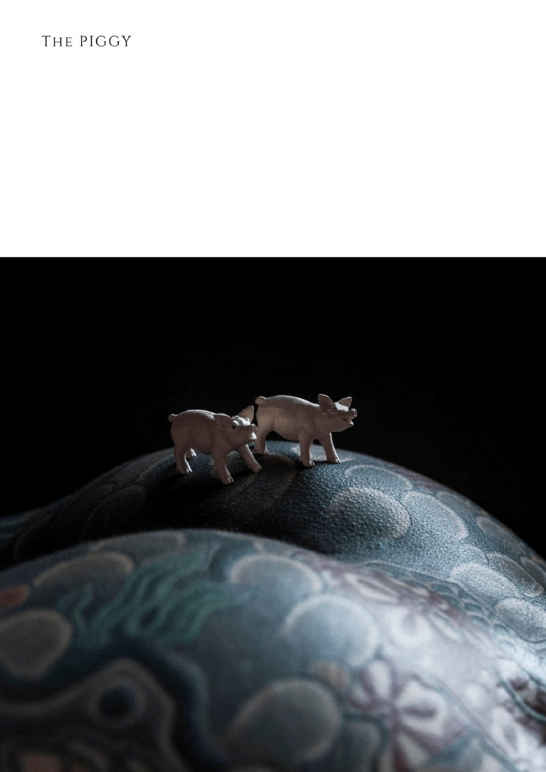 KORA-THE PIGGY 小猪[精]奇之旅-NICEOLO