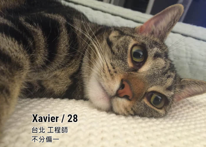 除了在交友软体放帅照 还能靠什么吸引对象？-NICEOLO