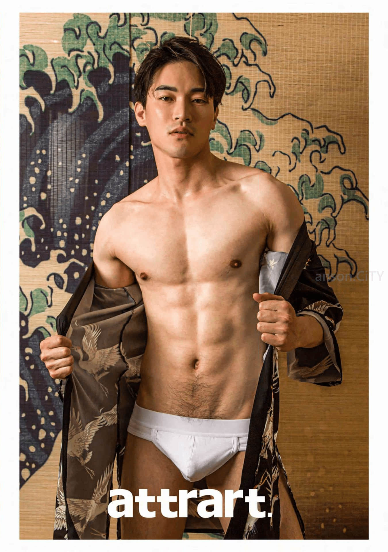 ATTRART 02 斯茂(ebook)-NICEOLO