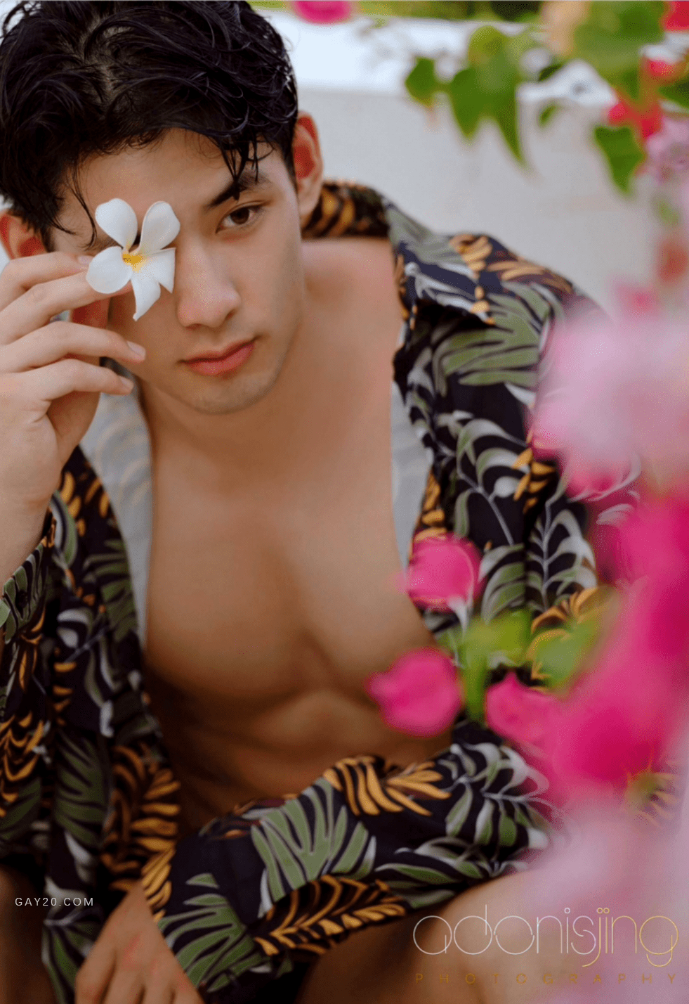 Adonisjing Desire To Angel 1-2-NICEOLO