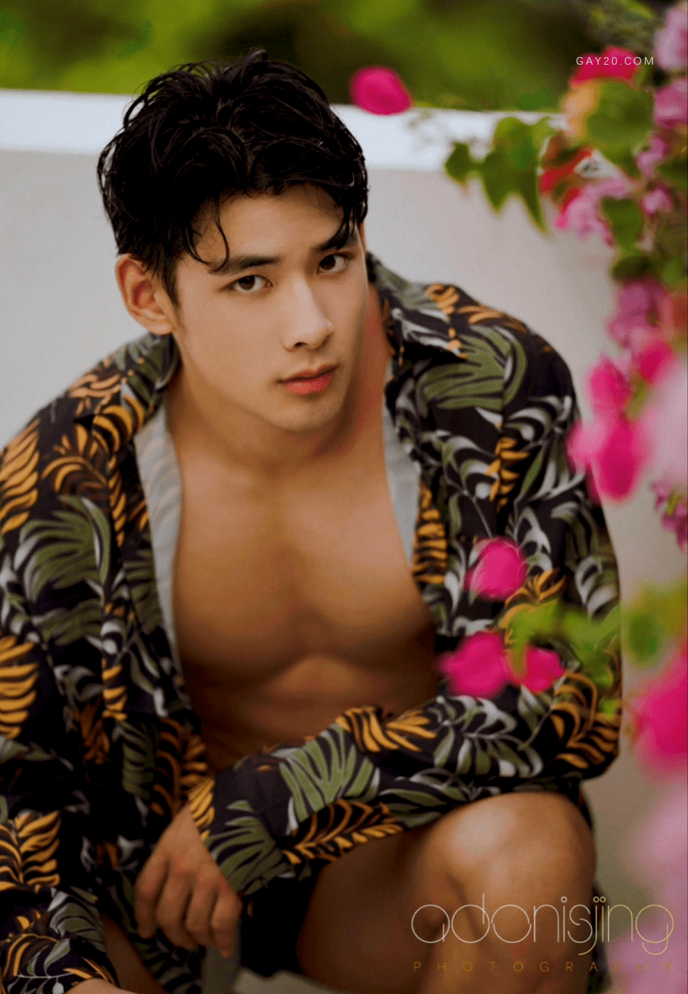Adonisjing Desire To Angel 1-2-NICEOLO