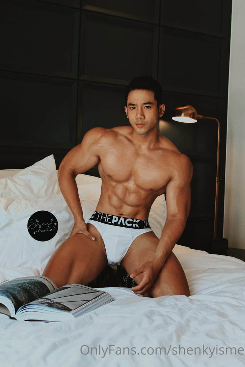 ShenkyPhoto collection P7-NICEOLO