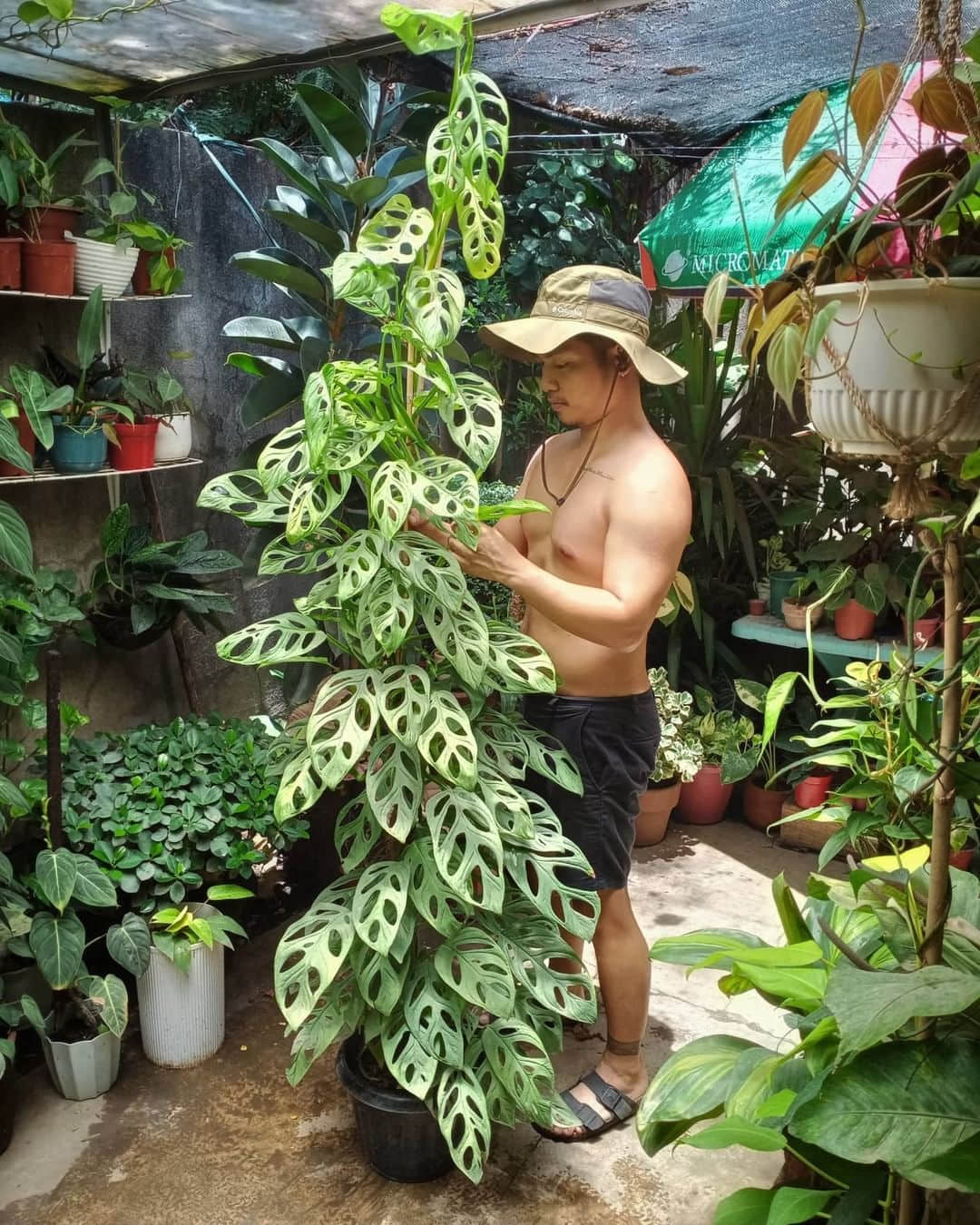 捕捉性感的男森屁屁! 超清新綠手指男孩攝影集登場-NICEOLO