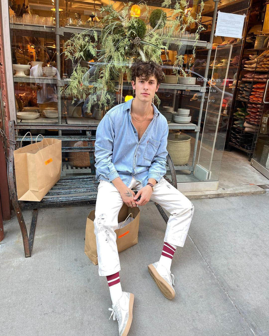 加拿大鮮肉歌手 Shawn Mendes 公開反對美國荒唐反同法案《Don't Say Gay》-NICEOLO