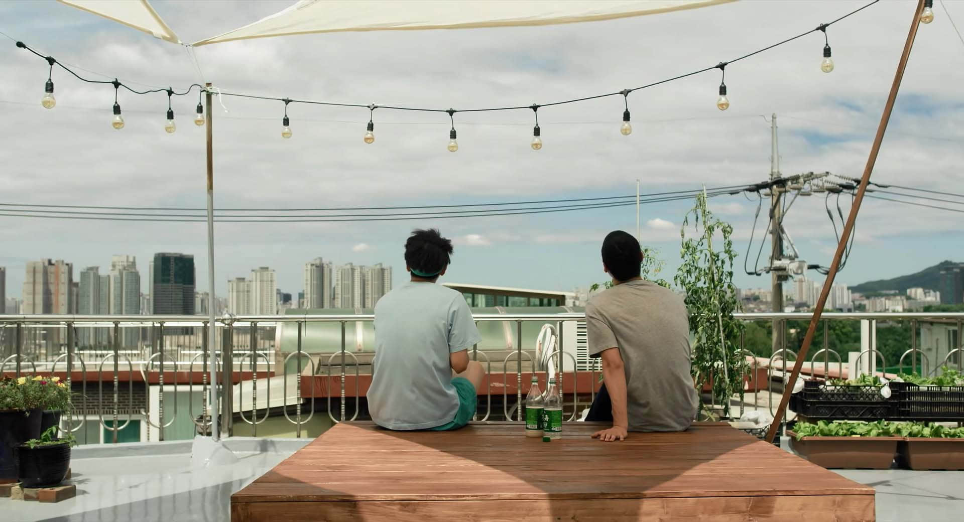屋顶恋歌 메이드 인 루프탑 (2021)-NICEOLO