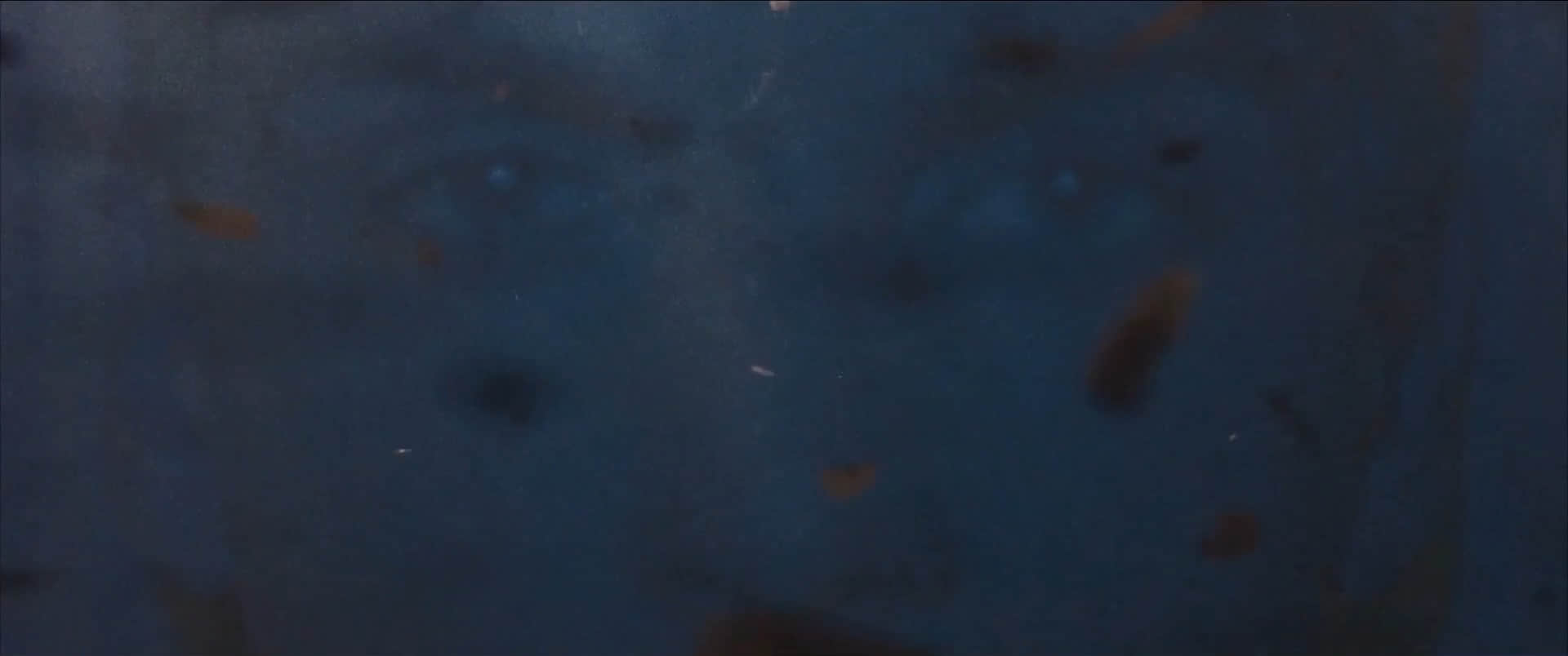 胶水 Colla (2016)-NICEOLO