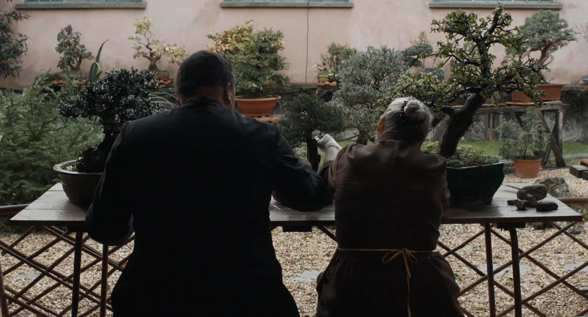 出场的拉扎罗 Lazzaro vieni fuori (2015)-NICEOLO