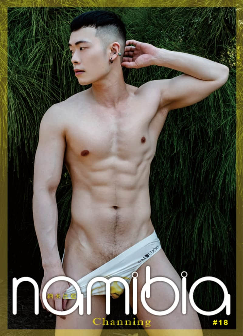 納米比亞 Namibia PHALLUST NO.18 健美 查寧-NICEOLO