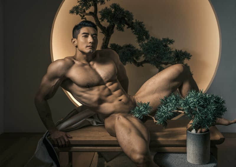 任壬HORMONE NO.11 寶藏男神 心猿意马•张弋 上冊-NICEOLO