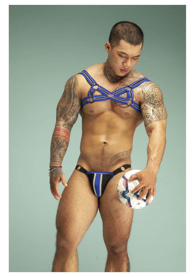 BAOBAOTEAM GU 2 NAKED VERSION EBOOK-NICEOLO