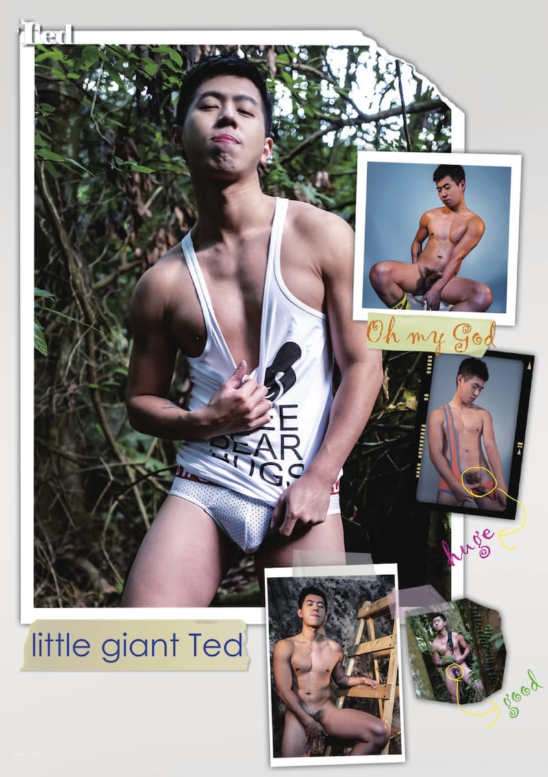Ted NO.01 泰德弟 大噴發-NICEOLO