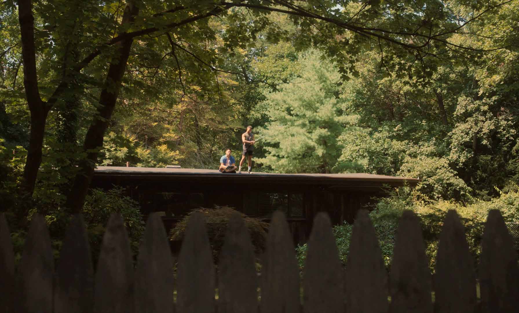 火烧岛 Fire Island (2022)-NICEOLO