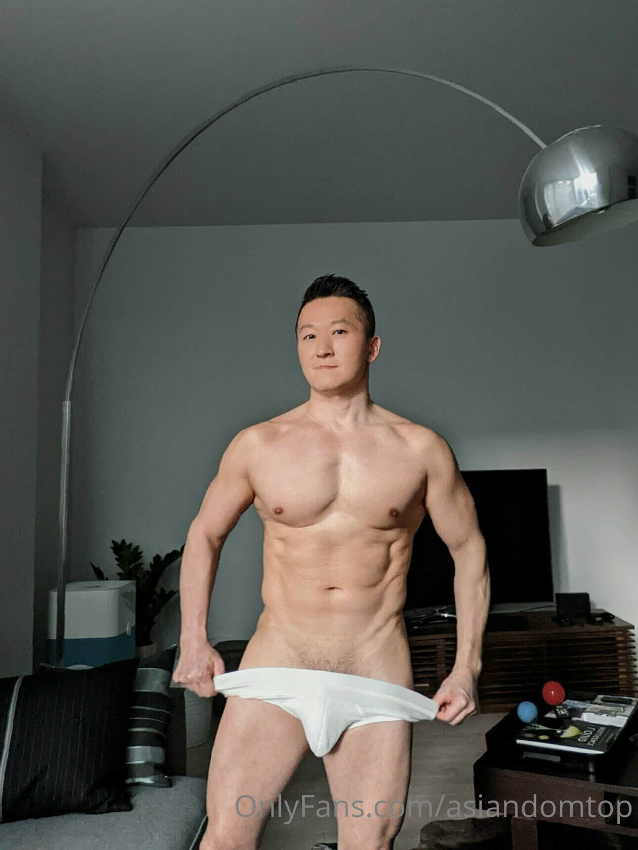 ASIANDOMTOP OF-NICEOLO