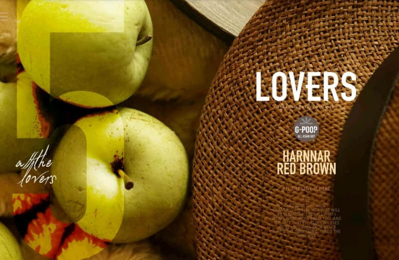 Lovers Vol.05 RED BROWN HARNNAR NINI-NICEOLO
