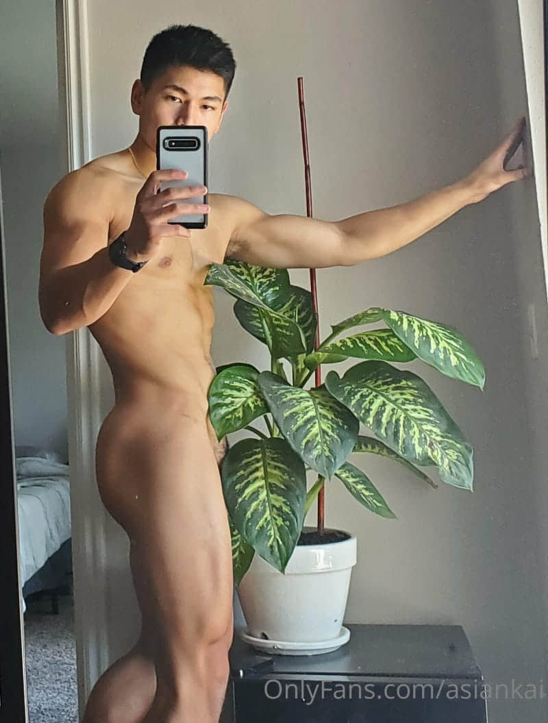 KAIYOUNG OF-NICEOLO