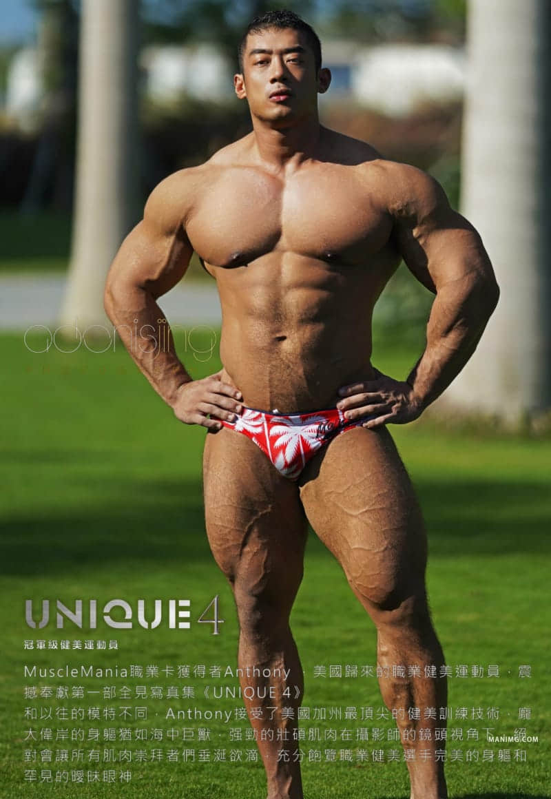 ADONISJING UNIQUE 4-Vol.1 巨型肌肉巨獸來襲-NICEOLO