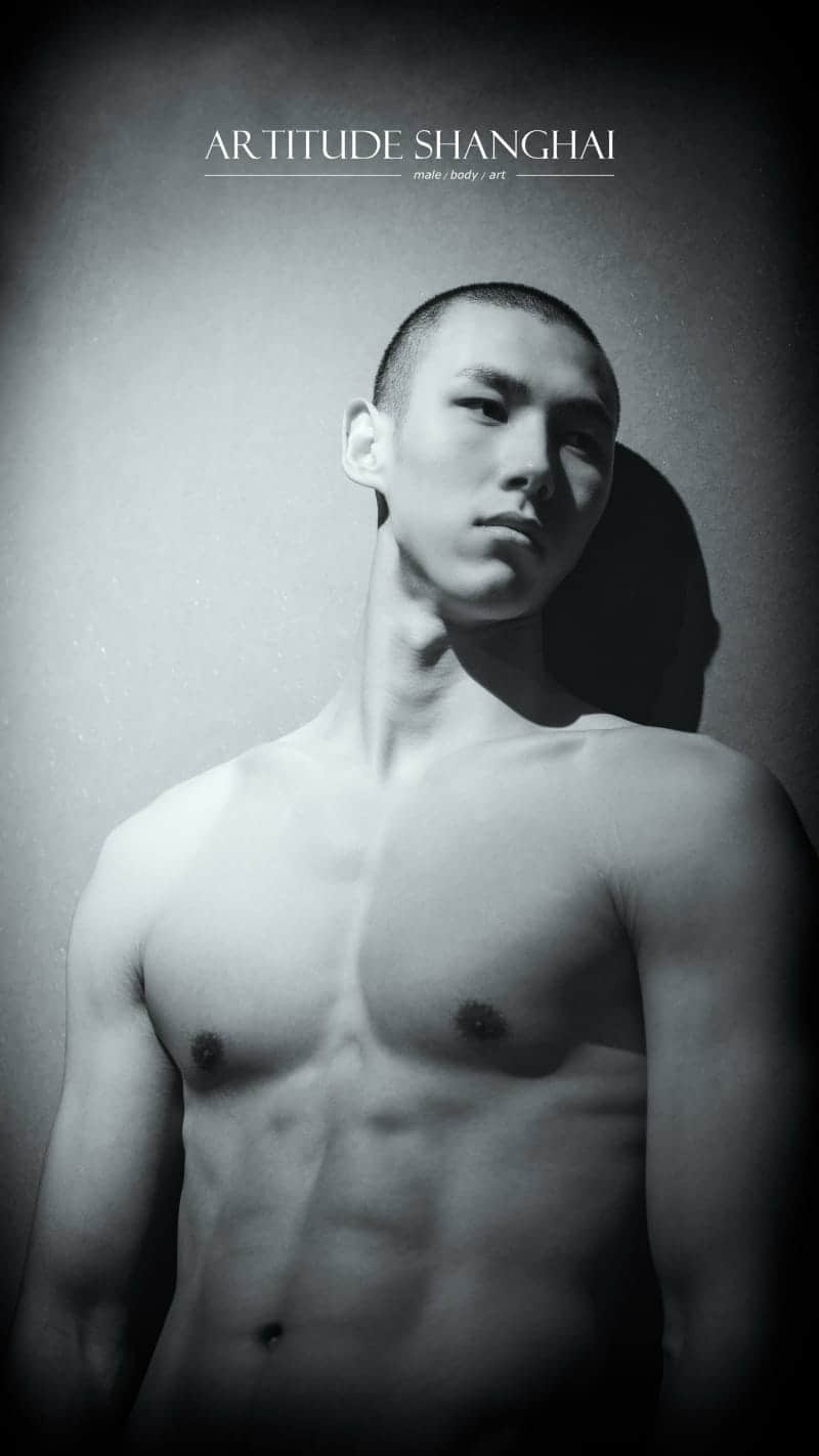 AR TITUDE SHANGHAI 小虎 collection-NICEOLO