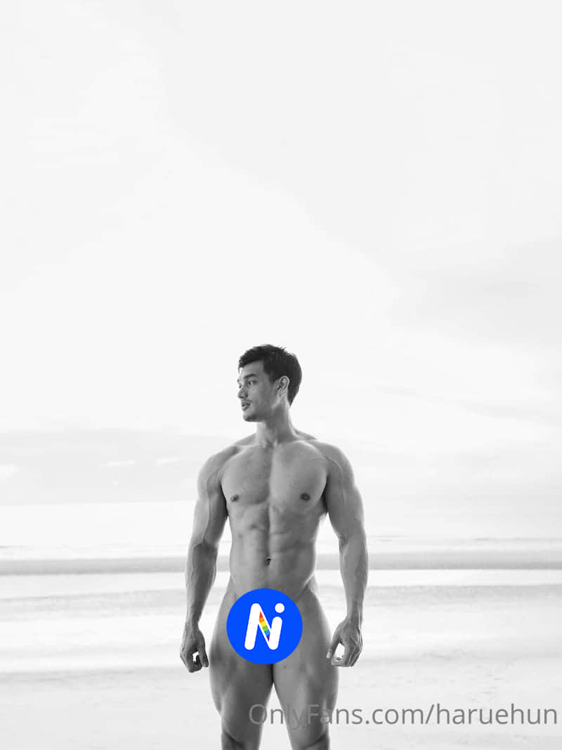 Haruehun Airry collection P16-NICEOLO