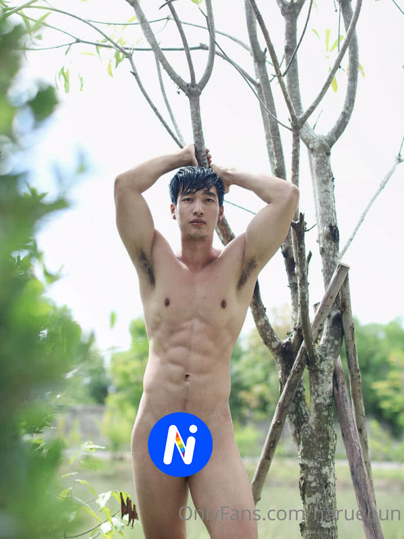 Haruehun Airry collection P18-NICEOLO