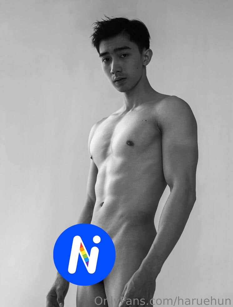 Haruehun Airry collection P19-NICEOLO