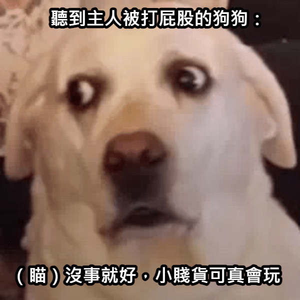 網自曝爆笑性經驗! 住宿玩嗨狂叫床 引燃隔壁房客慾火:「加一?」-NICEOLO