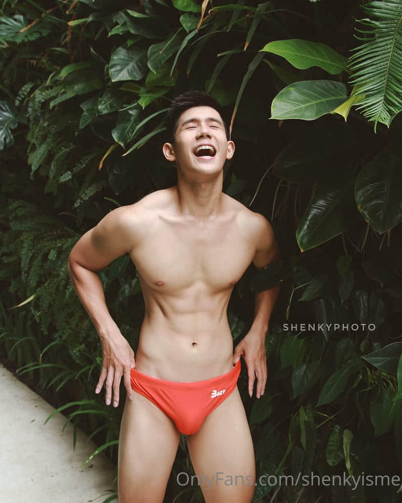 ShenkyPhoto collection P8-NICEOLO