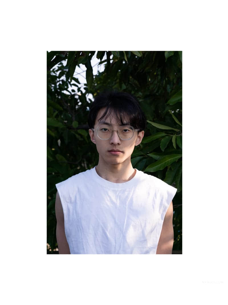 Sanneko Collection Alphee I-NICEOLO