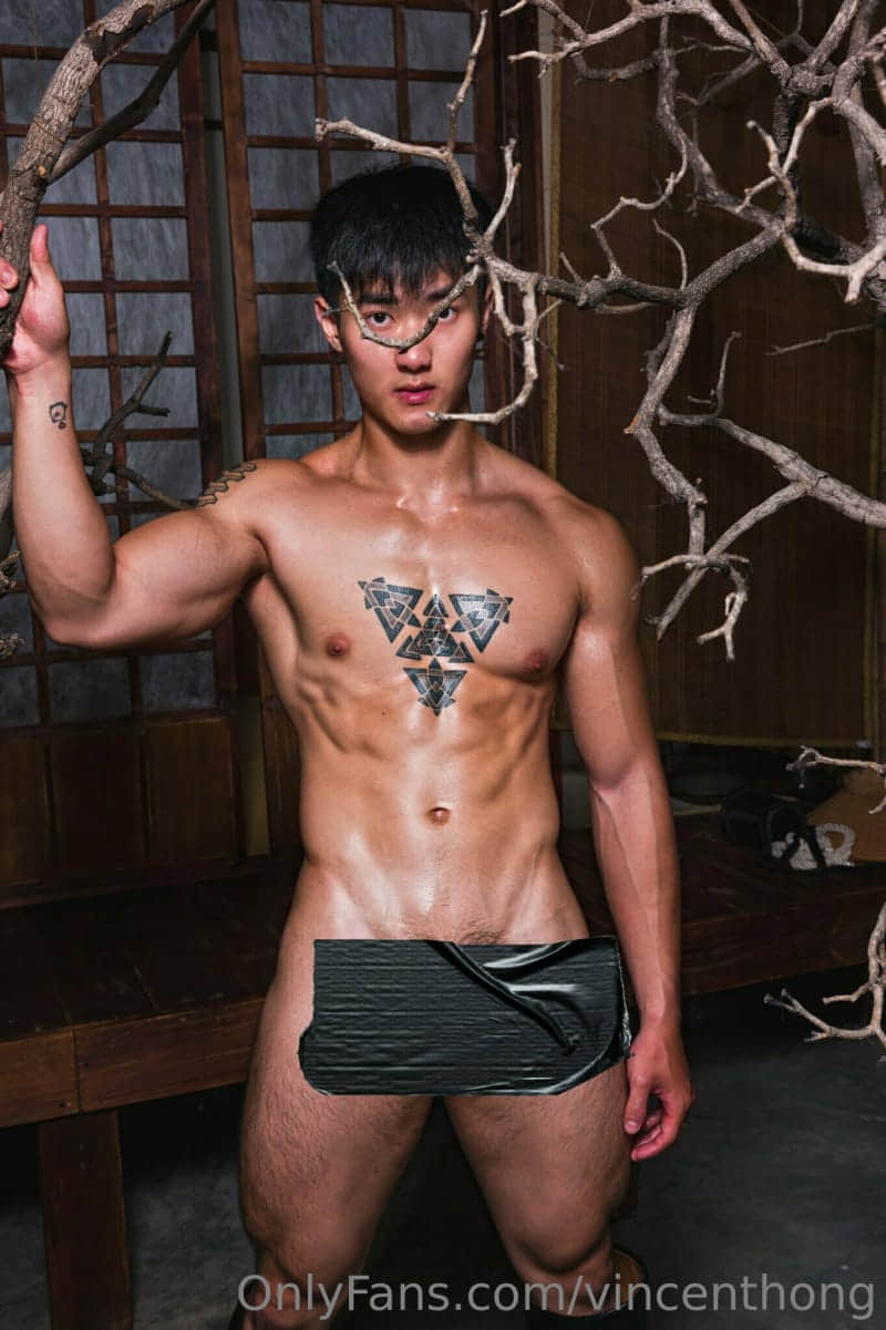 VINCENTHONG OF EP1-NICEOLO