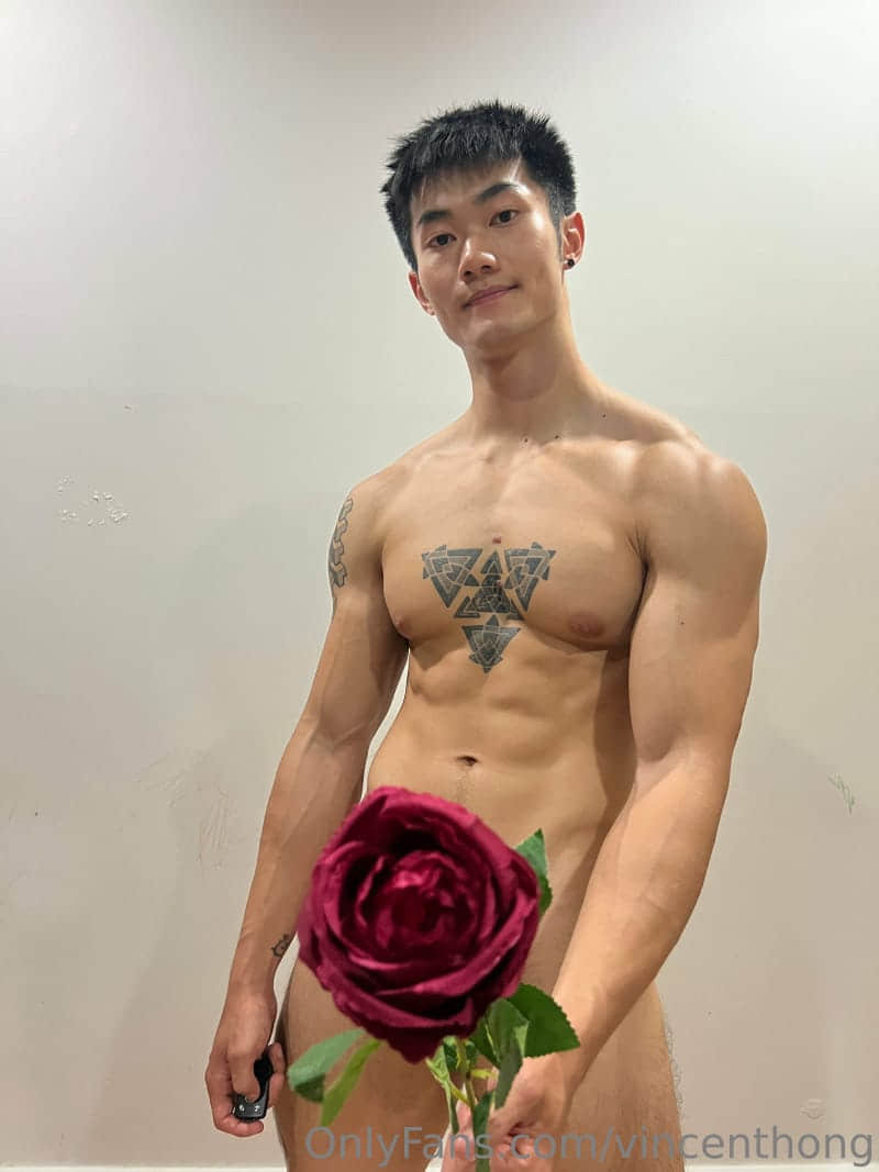 VINCENTHONG OF EP2-NICEOLO