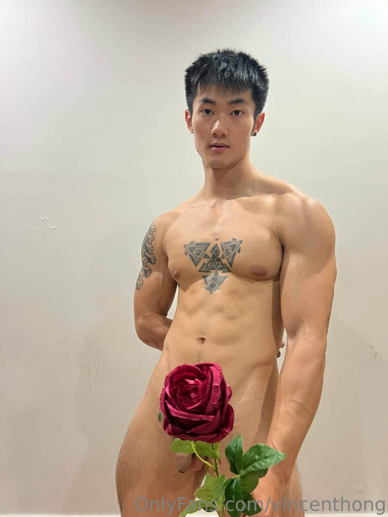 VINCENTHONG OF EP2-NICEOLO