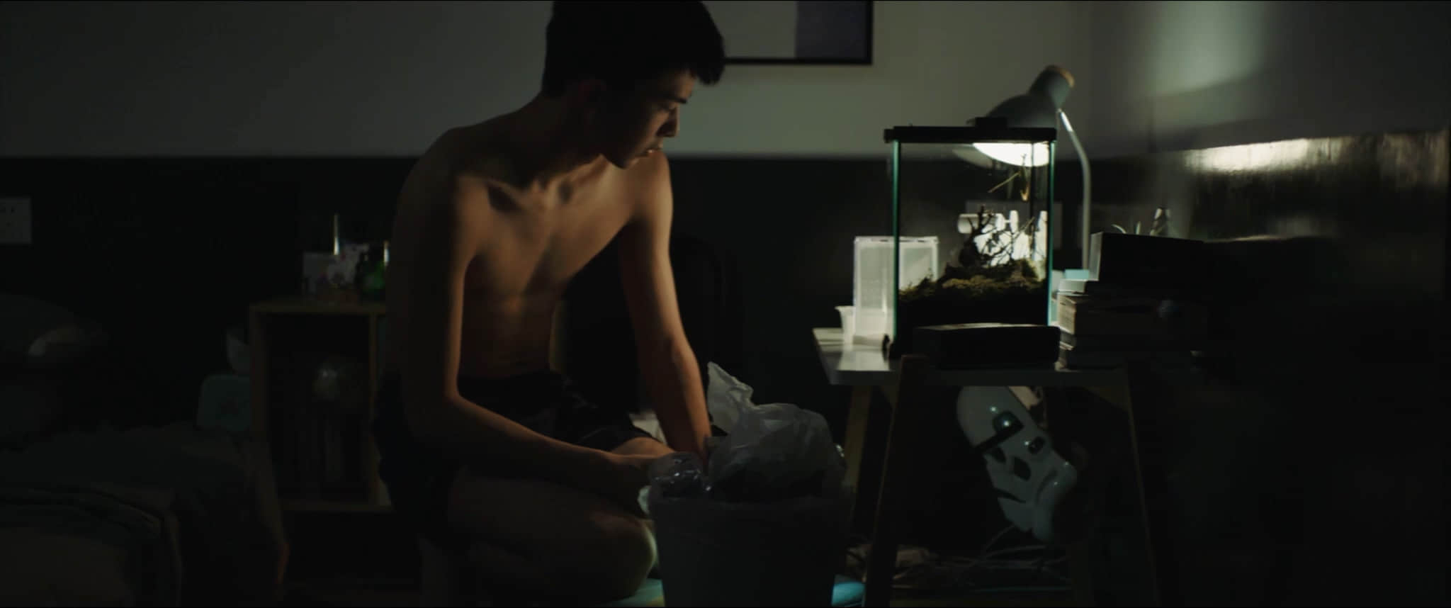 启哲 (2021)-NICEOLO