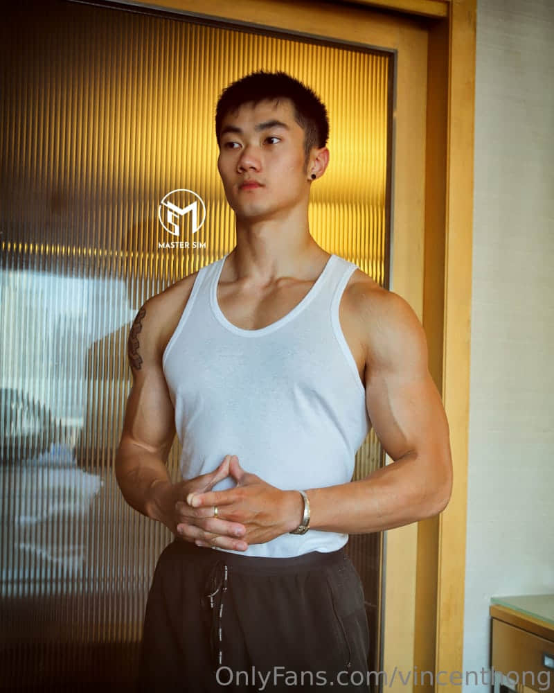 WINGHONG TANG MASTER SIM-NICEOLO