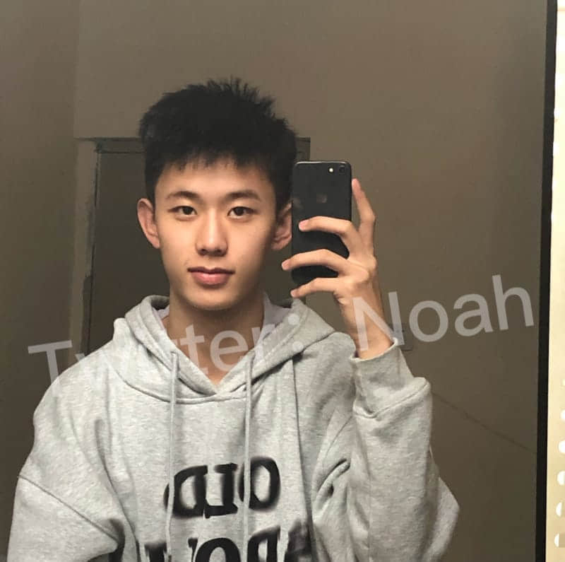 NOAH collection-NICEOLO