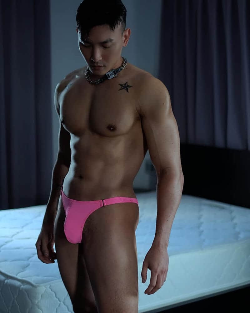 HEHIMHIS XMENLAB COLLECTION P4-NICEOLO