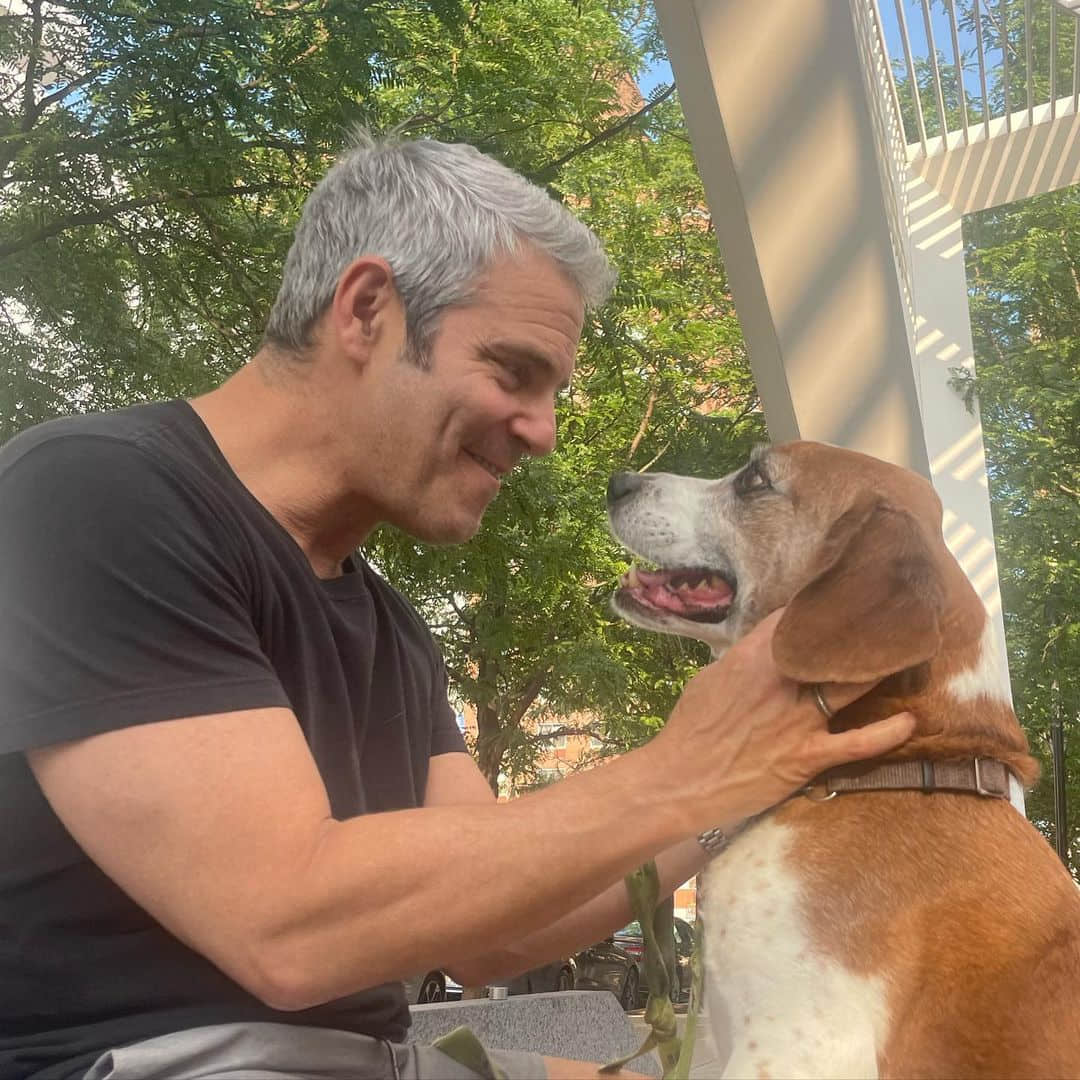 美脫口秀主持人 Andy Cohen 老當益壯 年過半百仍是「猛 1 老攻」-NICEOLO