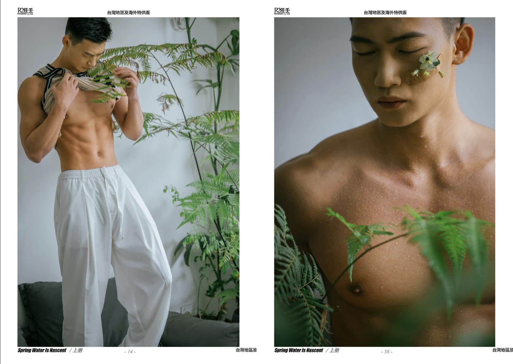 HORMONE #17A 春水初生-NICEOLO