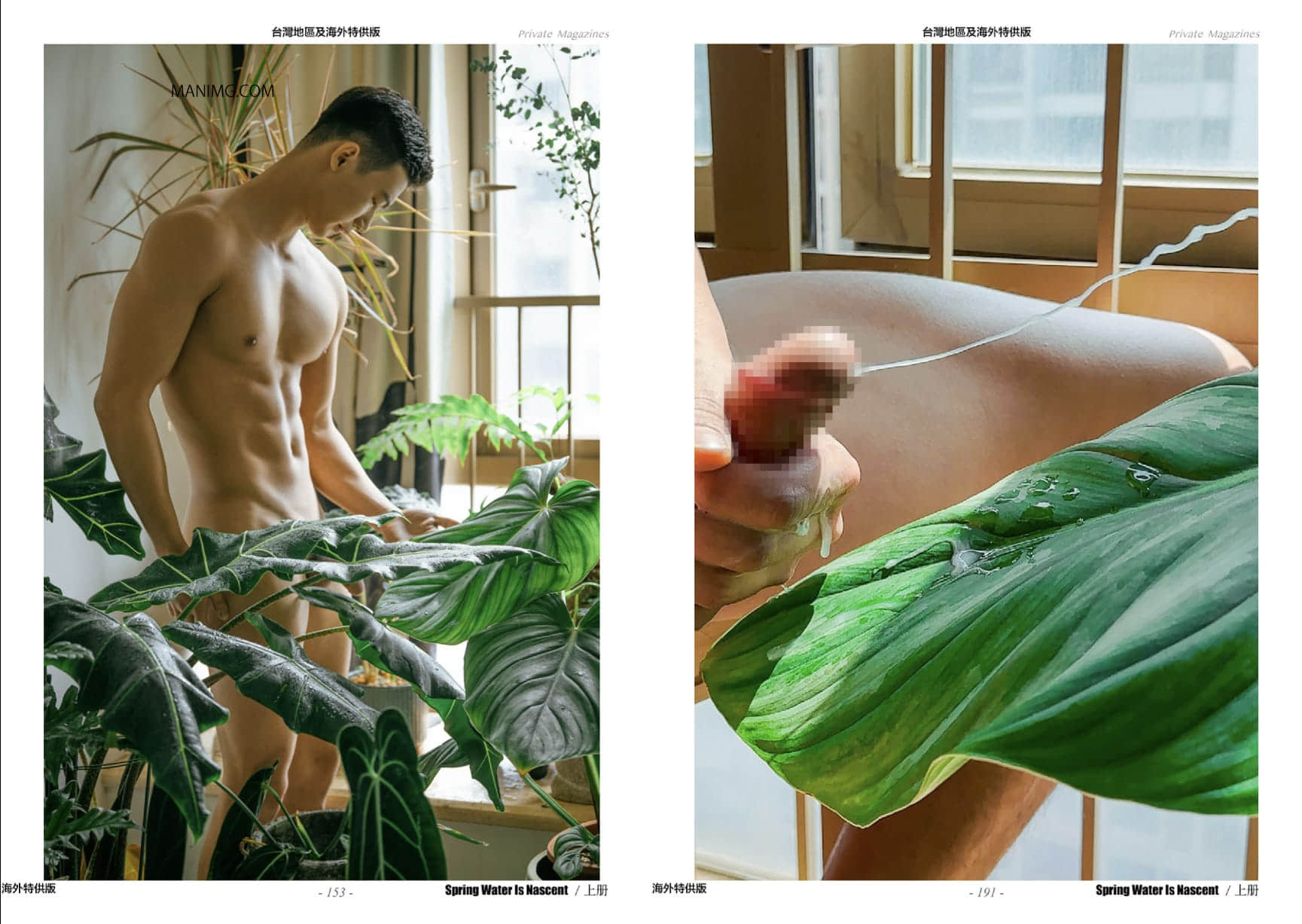 HORMONE #17A 春水初生-NICEOLO