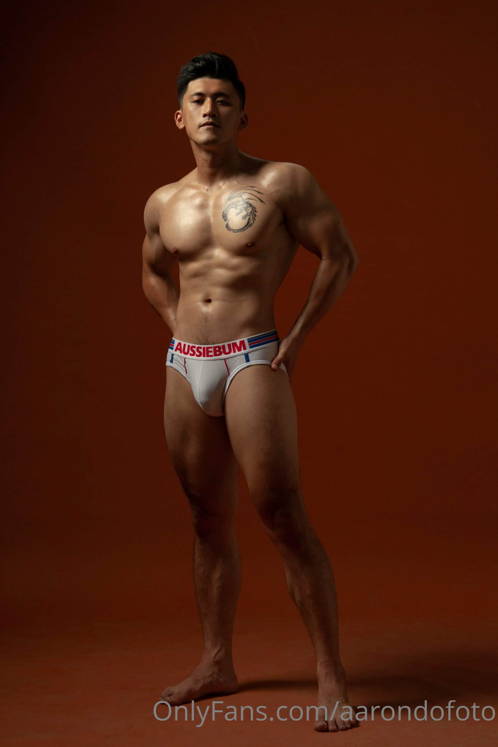 AARONDOFOTO ONLYFANS COLLECTION P21 LONG TRAN HENRY TRIEU-NICEOLO