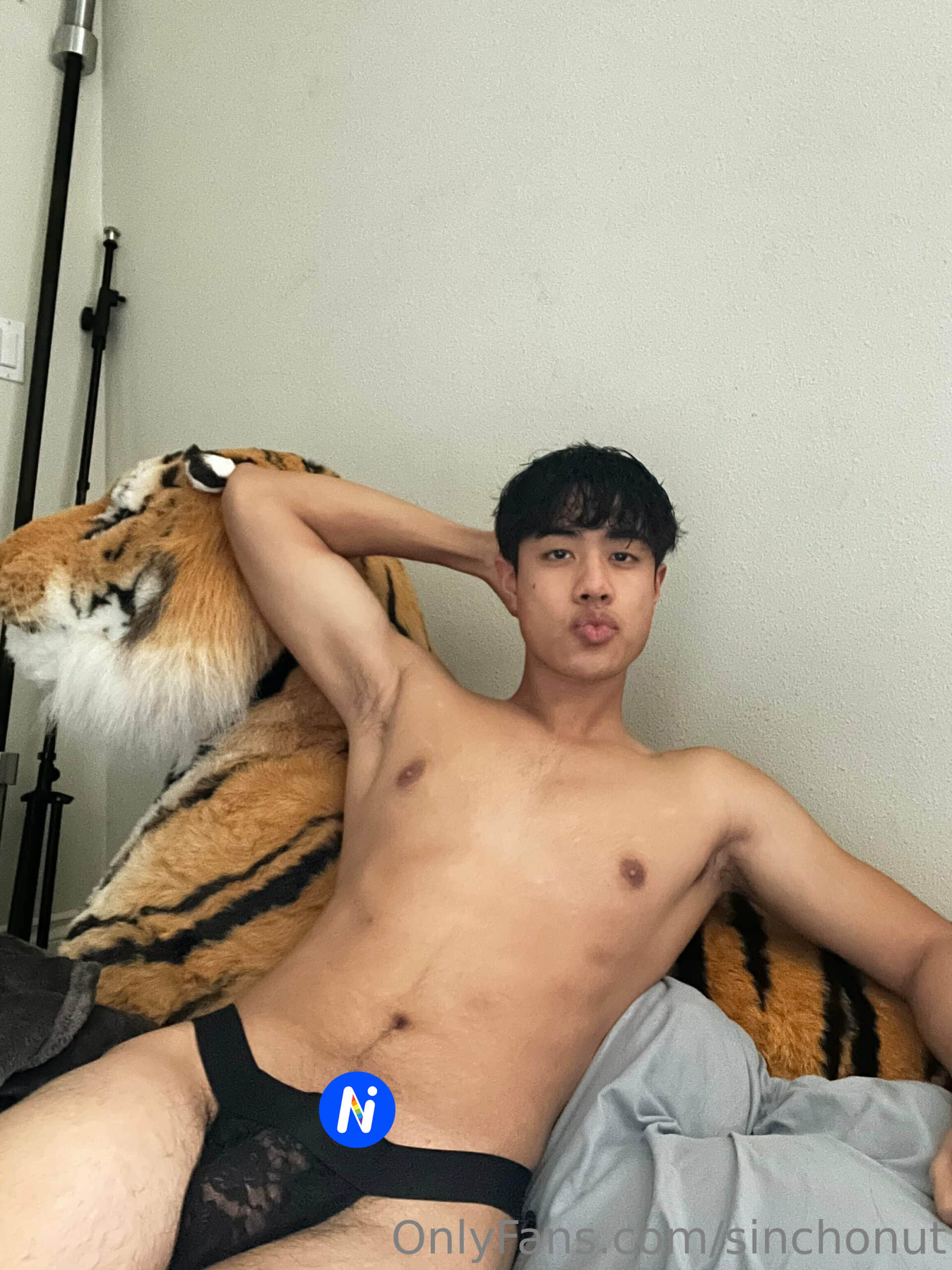 SINCHONUT OF-NICEOLO
