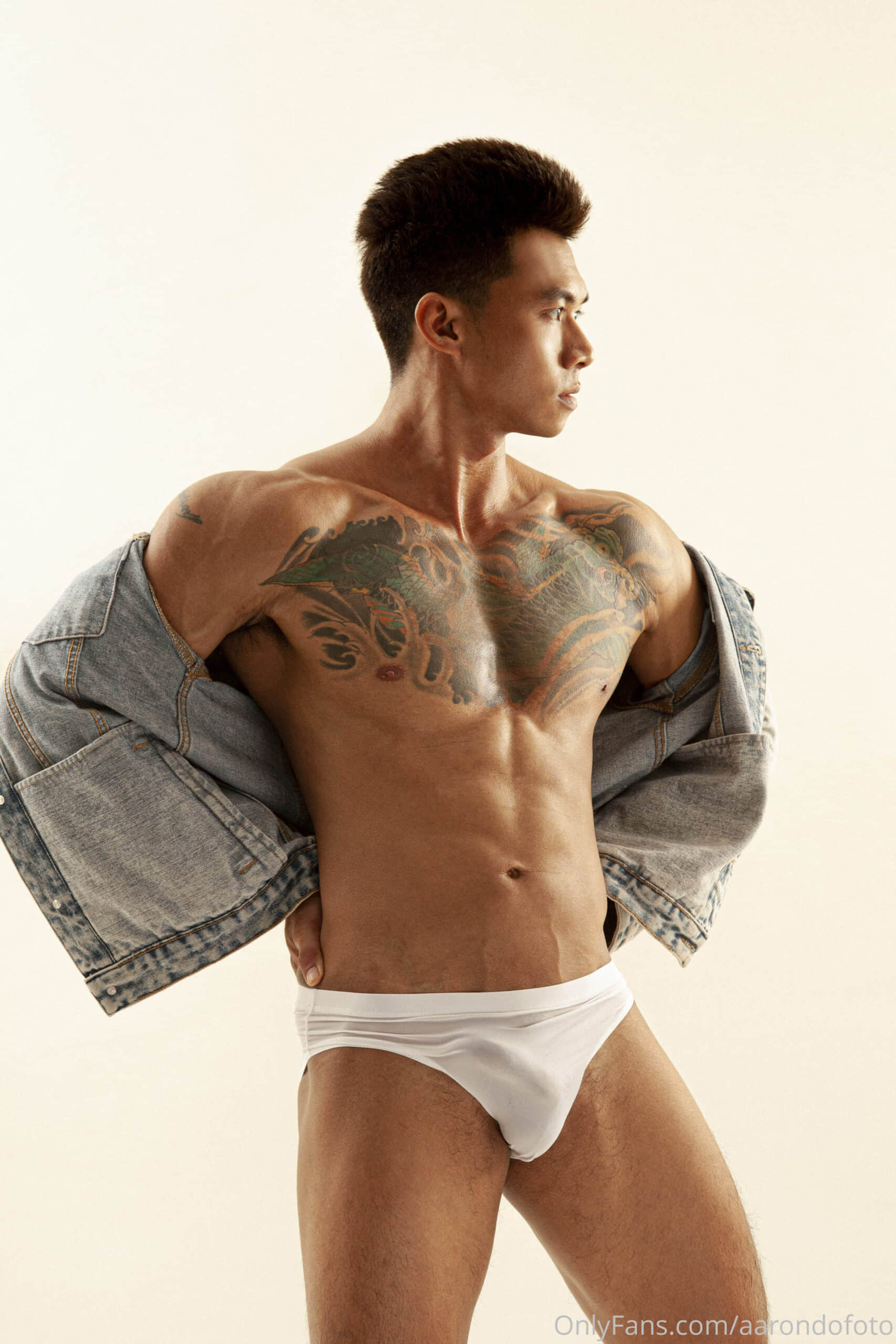 AARONDOFOTO ONLYFANS COLLECTION P24-NICEOLO