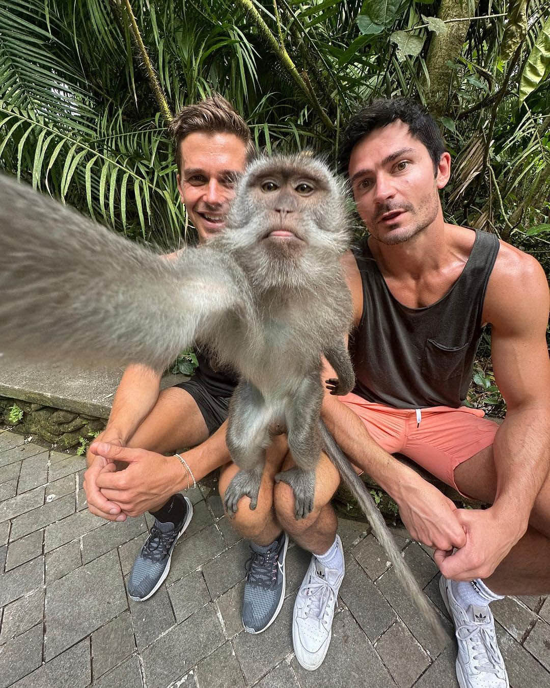 《酷男的異想世界》Antoni Porowski 取消訂婚 回應:和平分手-NICEOLO