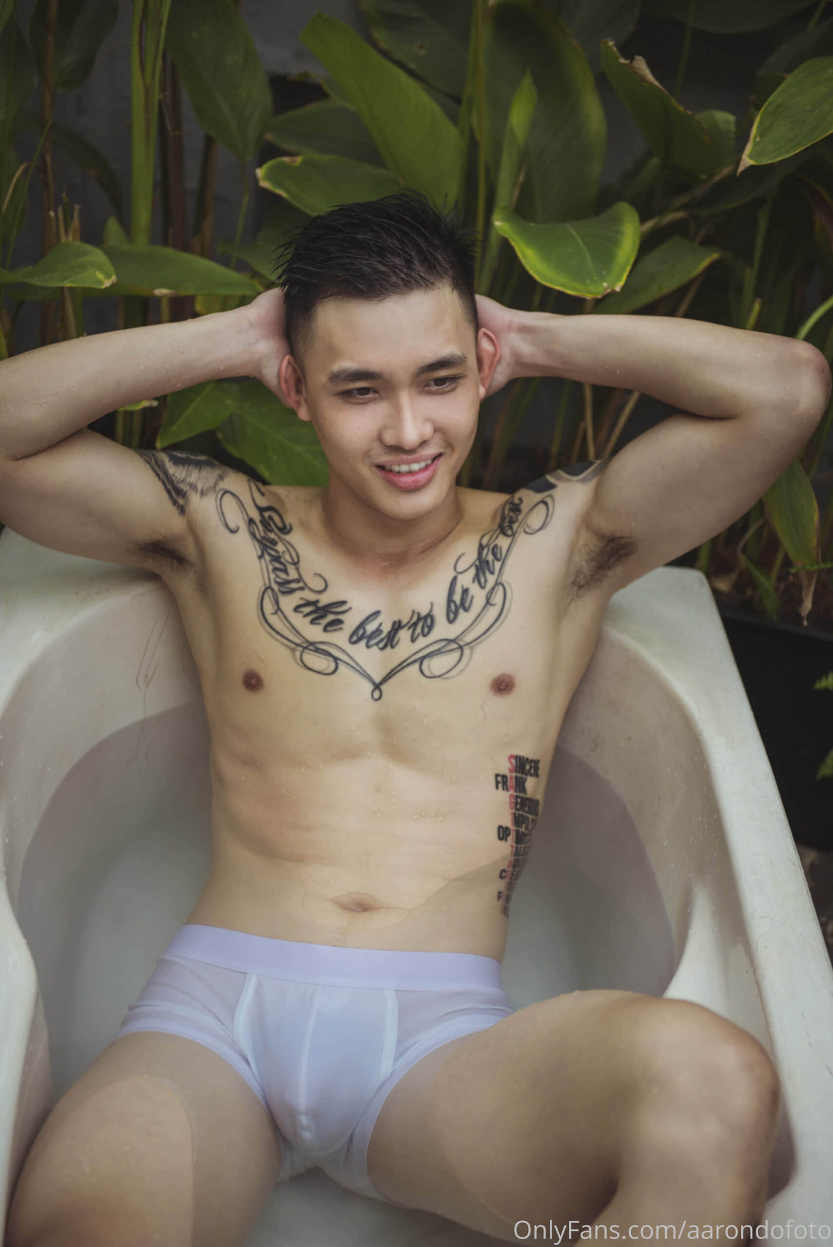 AARON DO COLLECTION P27-NICEOLO